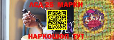 гашик Краснознаменск