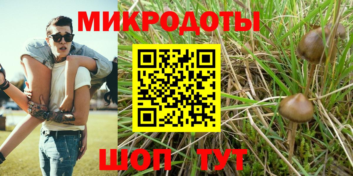 Иваново  Псилоцибиновые грибы GOLDEN TEACHER  Вход с VPN 