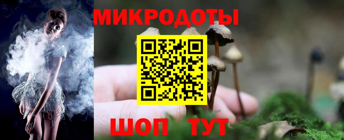 Псилоцибиновые грибы Psilocybine cubensis Иваново